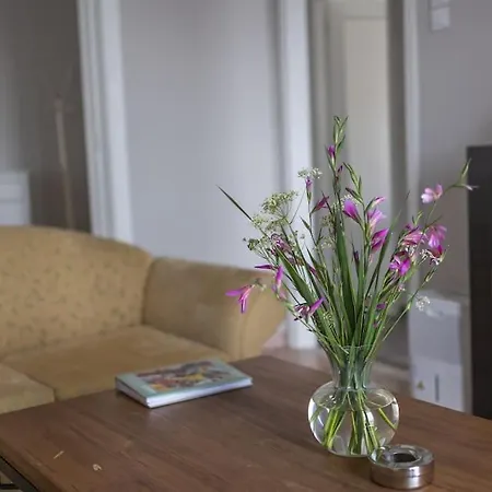 Miranda's Kalamata